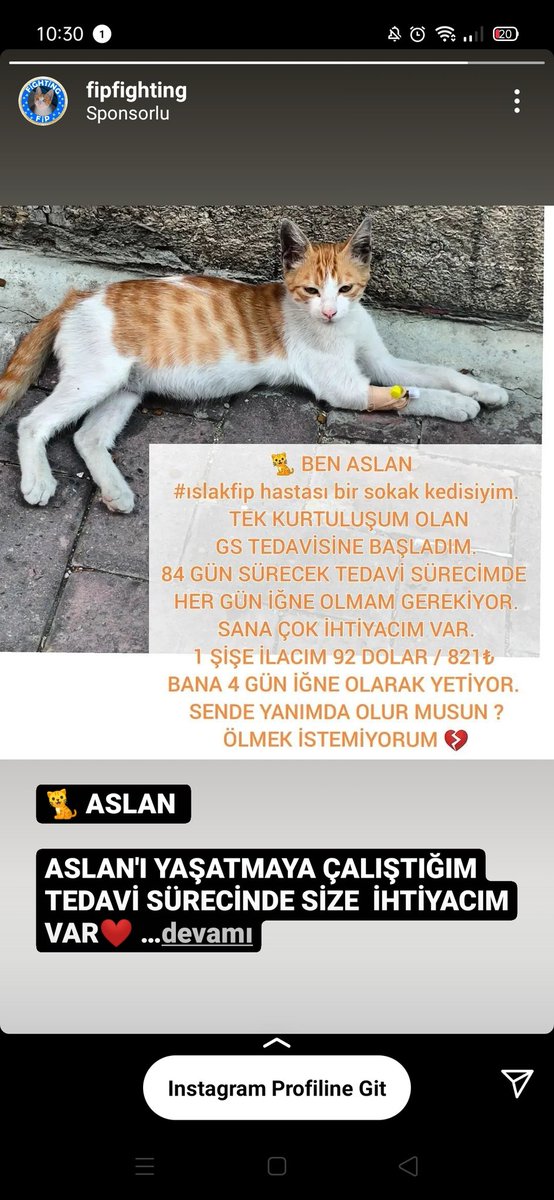 fipfighting's tweet photo. BEN ONU GÖRMEZDEN GELMEDİM ÖLÜME TERK ETMEDİM‼️HAYVANSEVERLERİN YARDIMLARI OLMADAN DOLAR ÜZERİNDEN GELEN İLAÇLARİNİ ALABİLMEM TEDAVİSİNİ TAMAMLAMAM İMKANSIZ‼️LÜTFEN SENDE ASLANA DESTEK OLUR MUSUN ?VE  BAŞKA HAYVANSEVERLERE SESİNİ DUYURMASI İÇİN ASLANI PAYLAŞIR MISIN ? ❤️🐾 https://t.co/6XTBXUCz4k