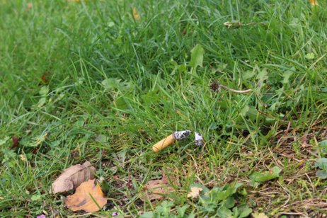 Project Blue Sea e.V. tweet media