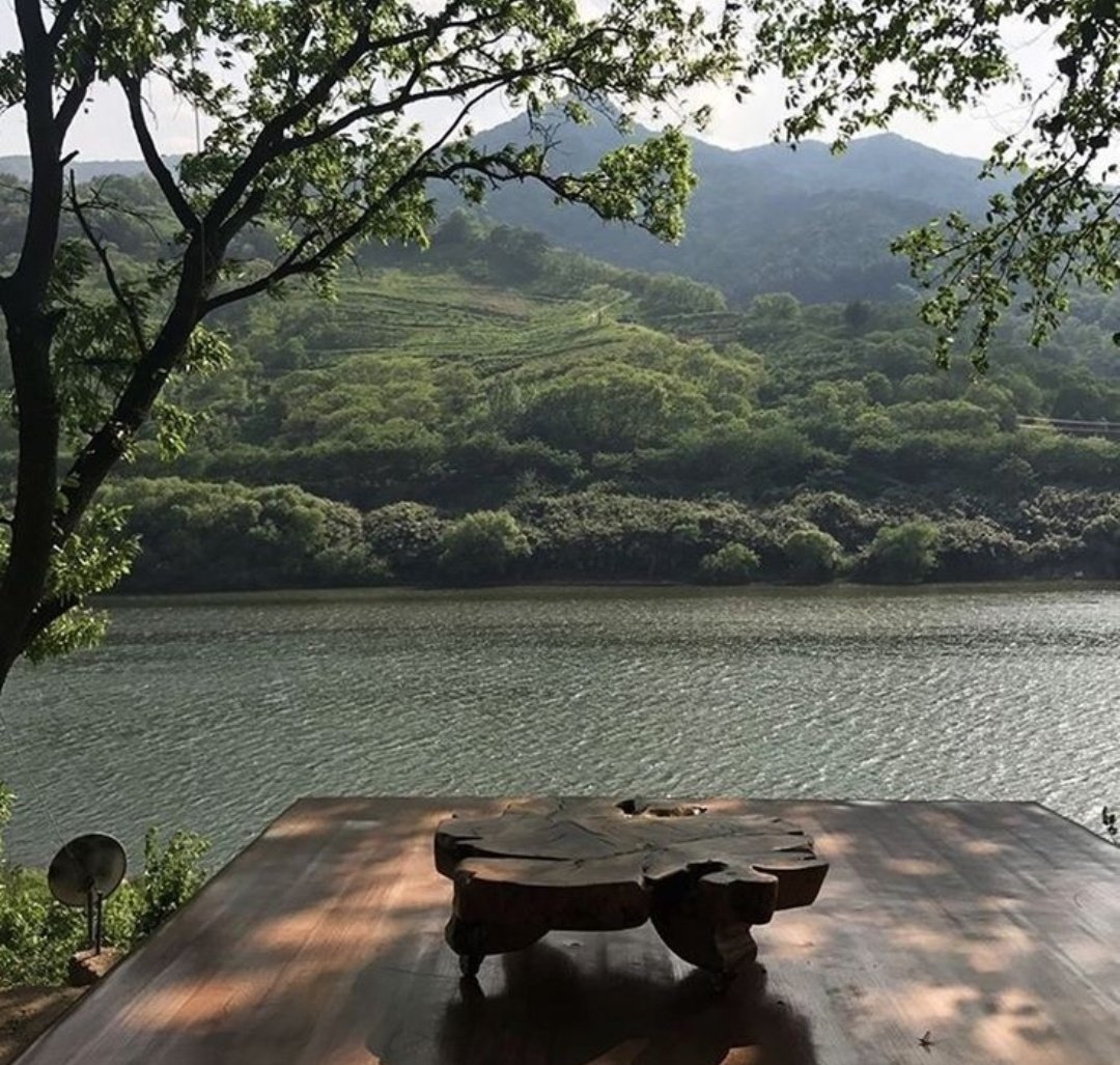 greendreamvibes's tweet image. 🍃