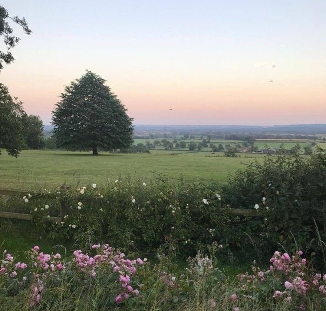 greendreamvibes's tweet image. 🍃