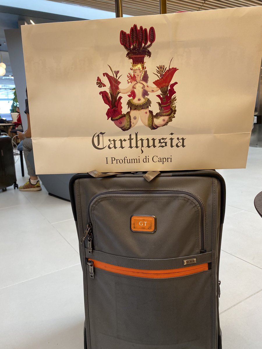 janviertoscan's tweet photo. Je voyage de plus en plus style notre romancier @benjaminrandow : juste un bagage cabine 😉 https://t.co/vibfDPYPa5
