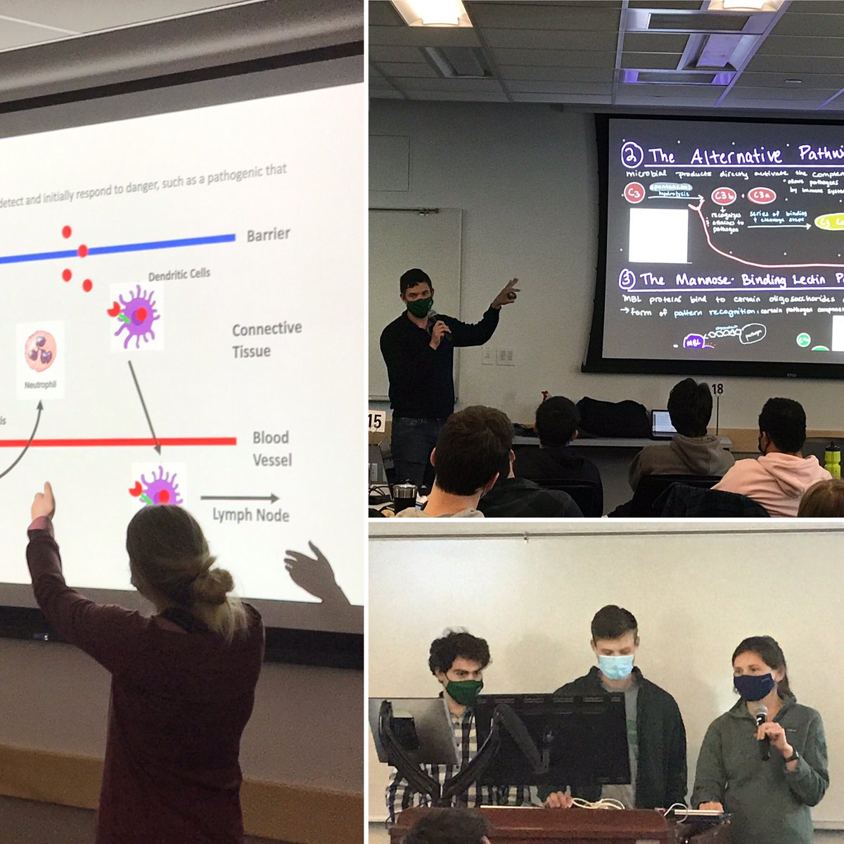 #peerteaching in Medical Immunology with @GeiselMed M1s. It was amazing to see the wonderful presentations and student engagement that happens in peer-to-peer teaching! Thanks to all the students for their excellent work and enthusiasm! @dartmouth