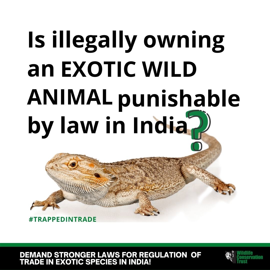 conservation of species in india