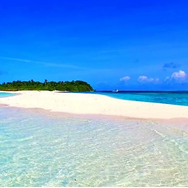 SAMAHotels's tweet photo. Greetings from Fehendhoo 🏝
❗We're offering 10% in all trips  in October to our followers😊
COME! Visit 1 of the most WILDEST ISLANDS of the Maldives! Embark on a memorable trip amongst our stunning Nature, our Culture &amp; our happy People! We promise you'll be as HAPPY as we are! https://t.co/KuhI2Y5phD