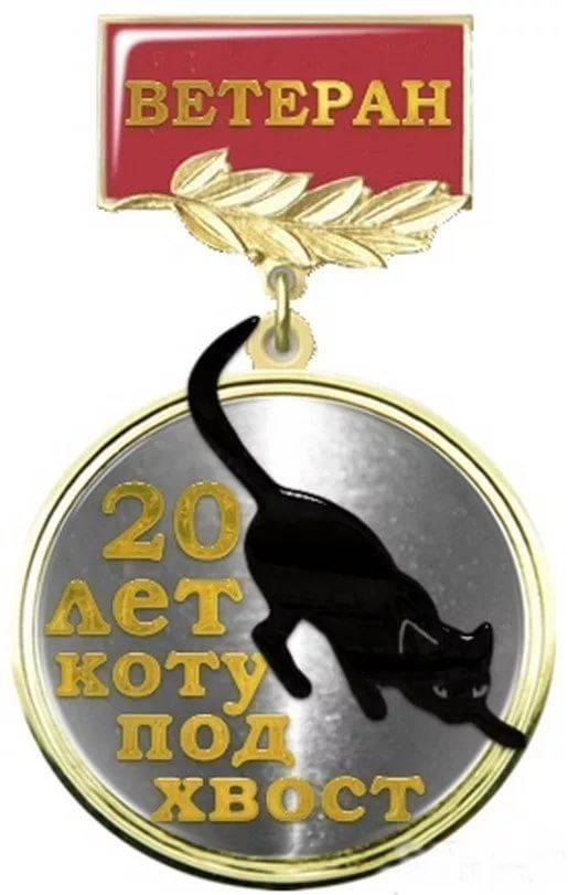 орден сутулова и медаль. орден сутулого с закруткой на спине. орден сутулого и медаль. орден сутулого и медаль горбатого. орден *сутулого*.