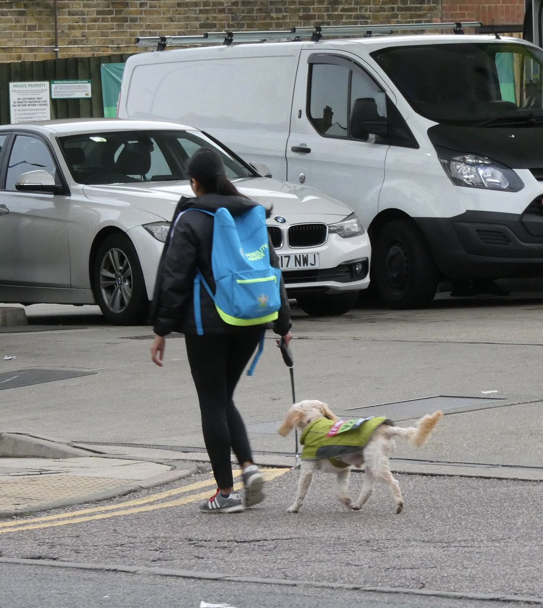 StarlitStella33's tweet photo. @Rev_Stef @StMarysPB @LondonMarathon @diostalbans @kazzapond and I saw them en route in Potters Bar High Street but couldn’t get a photo until they’d gone passed us #virtuallondonmarathon #goMeryl #goBertie https://t.co/I8T6wwOTaa