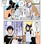 実は飼い主は心配？「わんちゃん撫でていいですか？」と聞かれた時の気持ち!