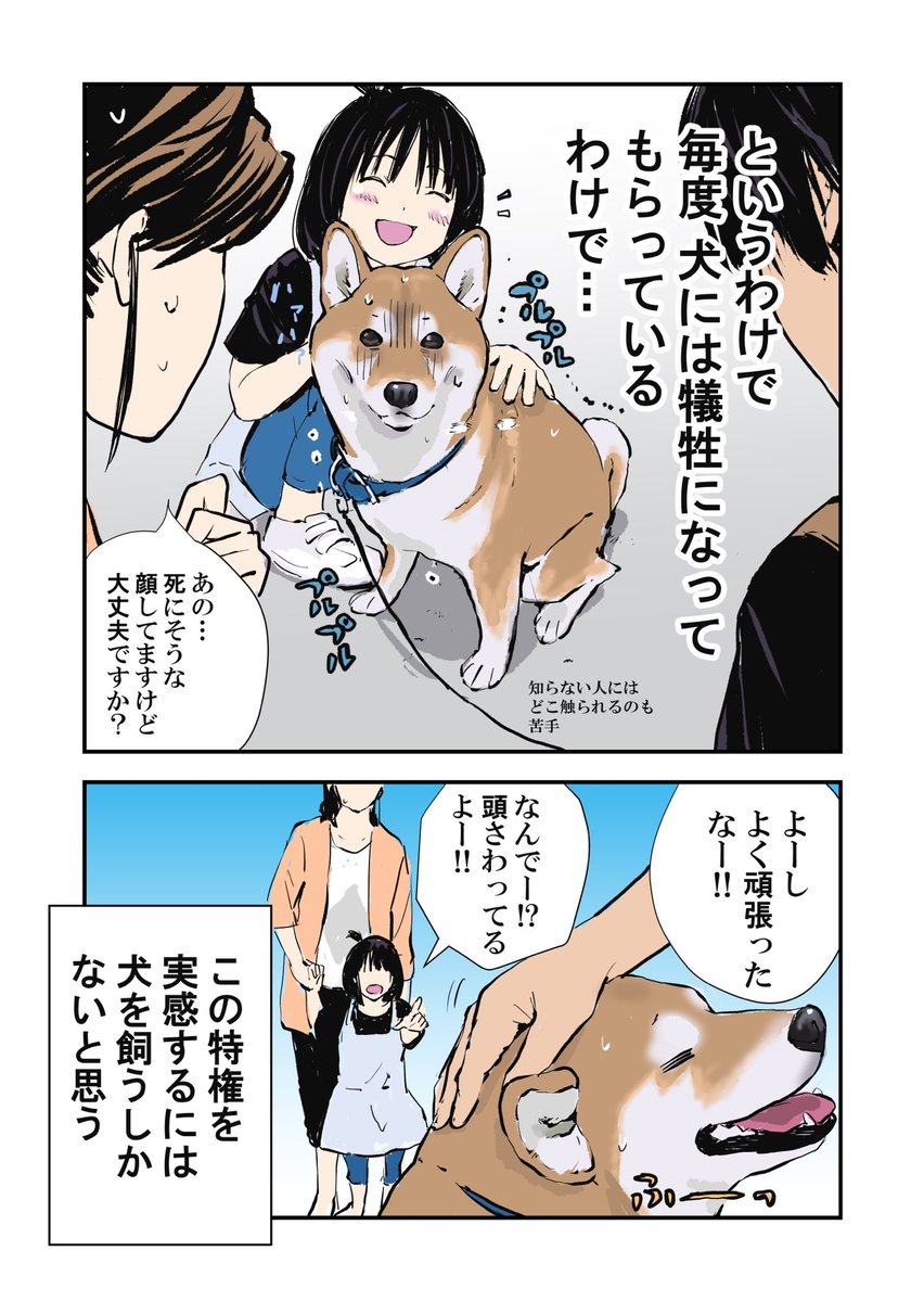 散歩中 わんちゃん撫でても大丈夫ですか と聞かれた時に飼い主が感じていること さまざまな意見が集まる Togetter