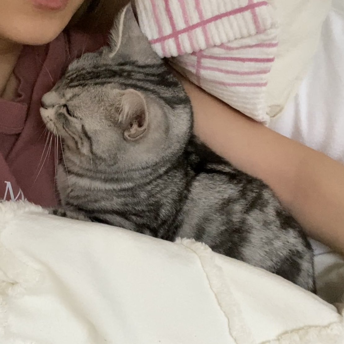 🐈‍⬛くうちゃん♂ (@Kuuchan_0614) / Posts / X