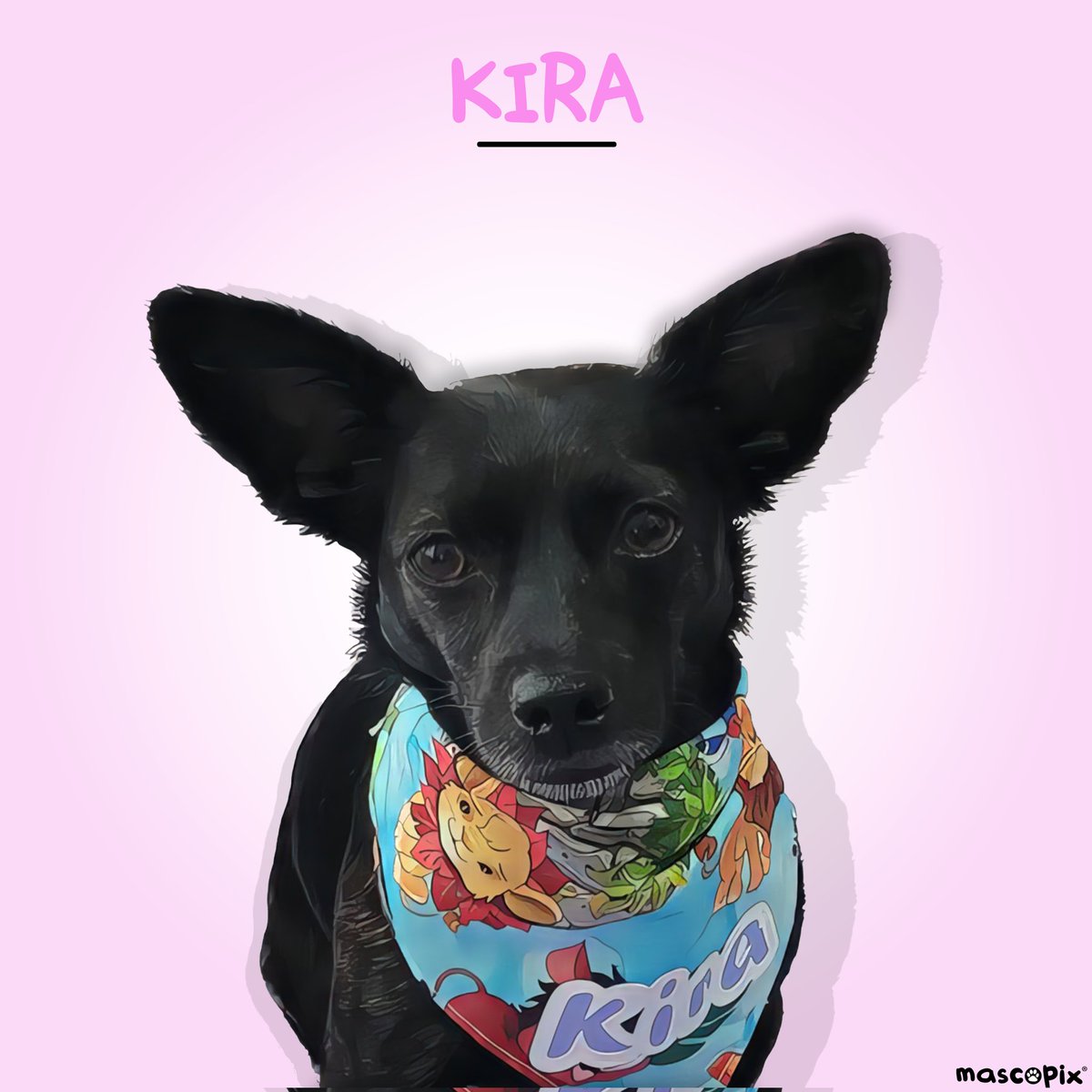 mascopix's tweet photo. Aquí tenemos a Kira posando con mucho arte!...

Te gustaría tener el Retrato de tu Mascota?...en @mascopix te lo enviamos a casa gratis...¡envianos un mensaje!

#mascopix #retratodemascotas #dibujandomascotas #amorporlosanimales #perrosygatos #animalesdecompañia #perrokira https://t.co/CIOA8tYFdB