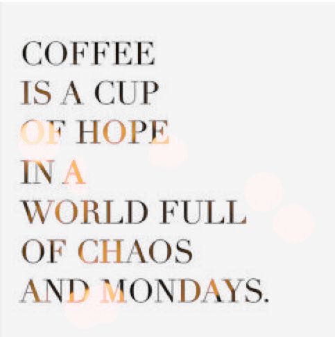 PippaSilverRay's tweet image. What do you need right now? - mailchi.mp/1985f931d16f/w…