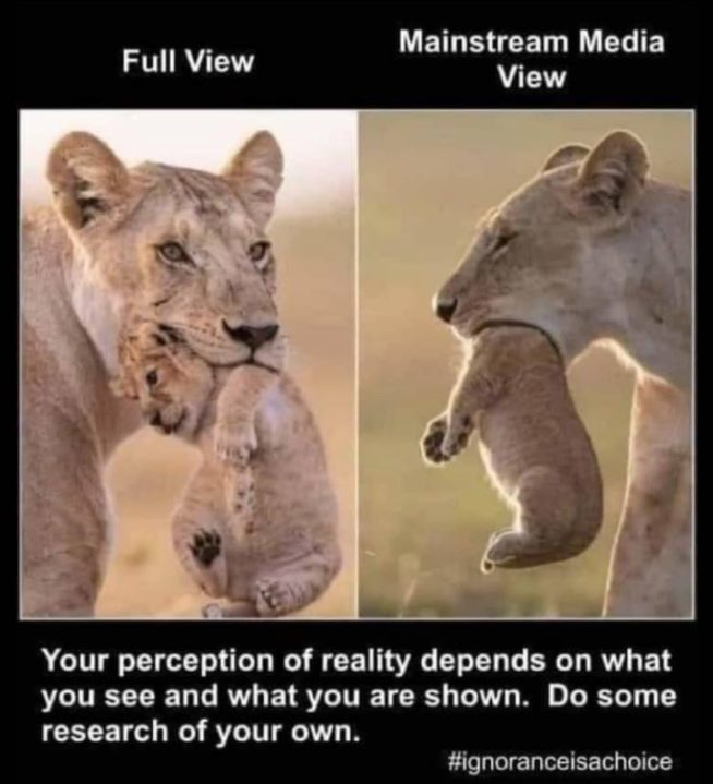 Perspective Matters.