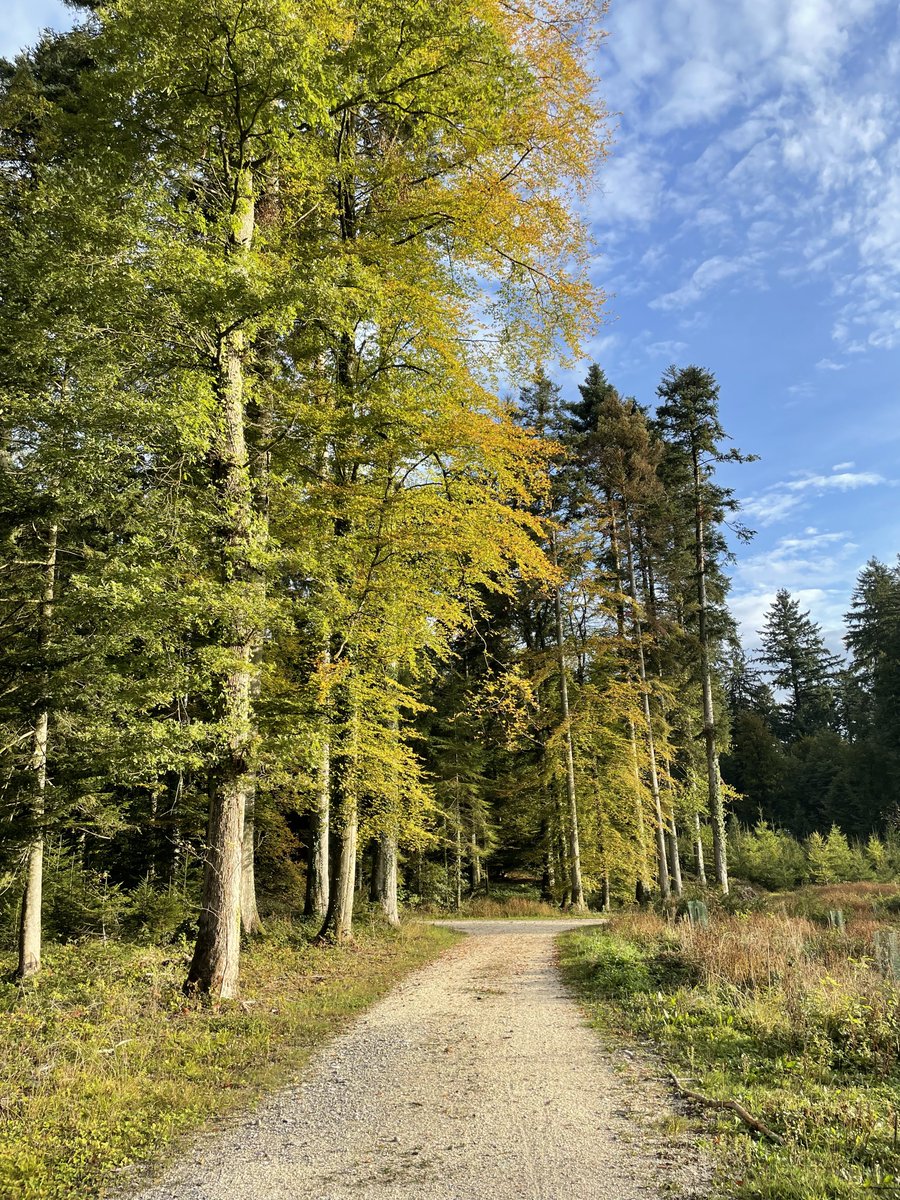 fee878's tweet photo. Enjoying the beautiful weather as long as there is ☀️
#AutumIsComing #sundayvibes https://t.co/tssKwF47gI