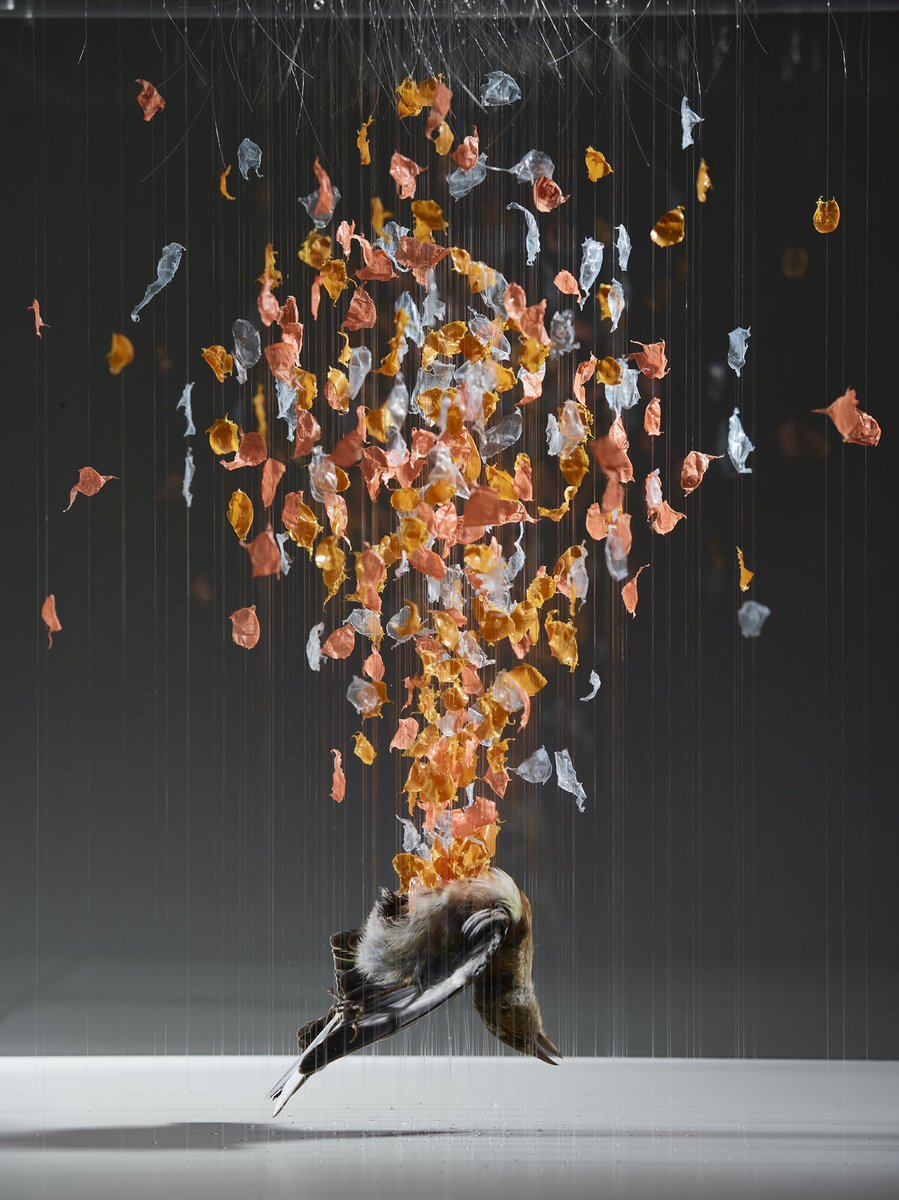 I am delighted to announce my new solo show with Galerie Karsten Greve Paris: 

A tentative strategy for a renewal, or,
wanting to tell you everything and then changing my mind

Opening 16 October 5pm to 8pm
Runs 16.10.21 to 23.12.21

Image: Mourning for real (detail) (2021)