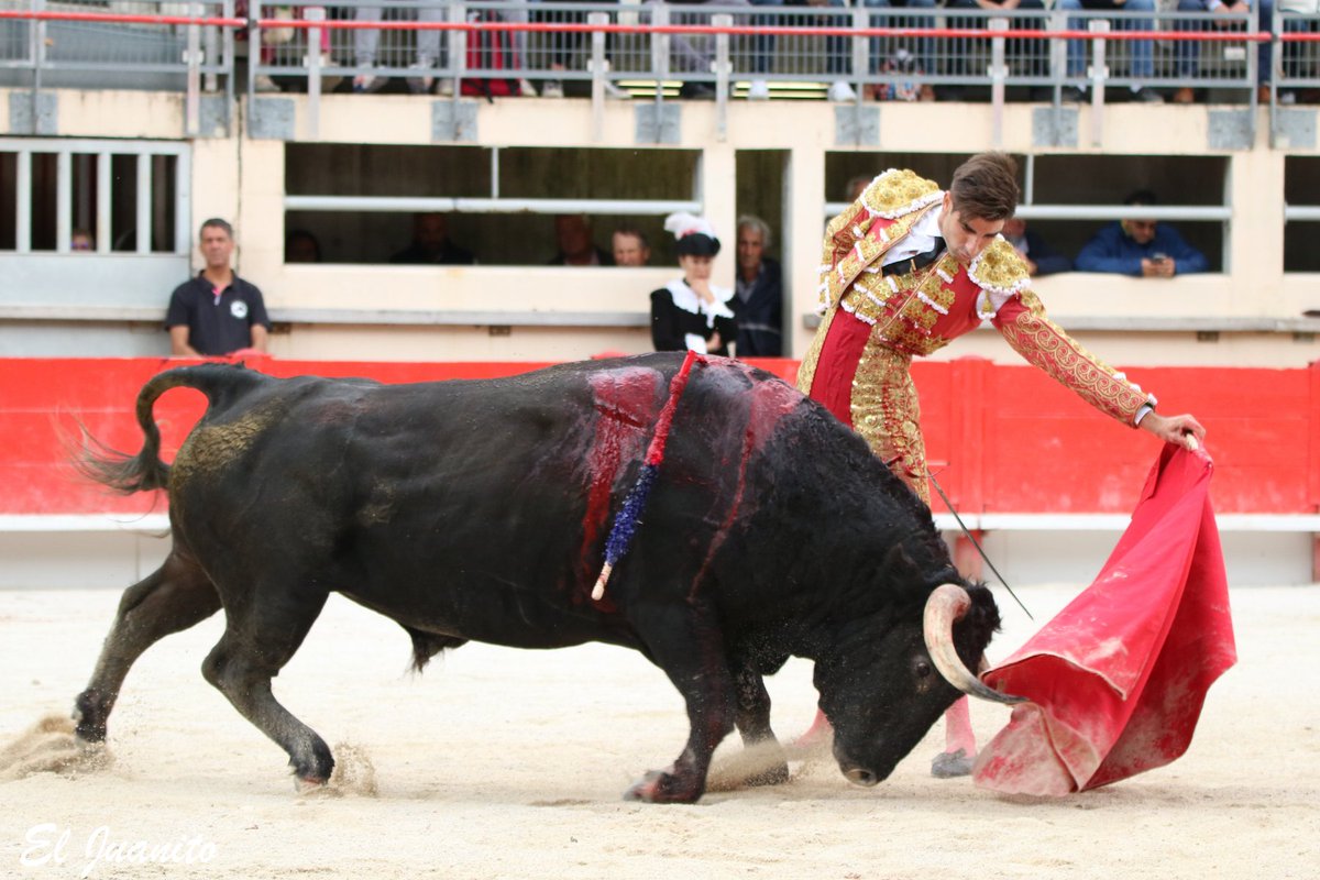 #Crau21 Silence pour Miguel Angel Pacheco face à un difficile exemplaire de Yonnet