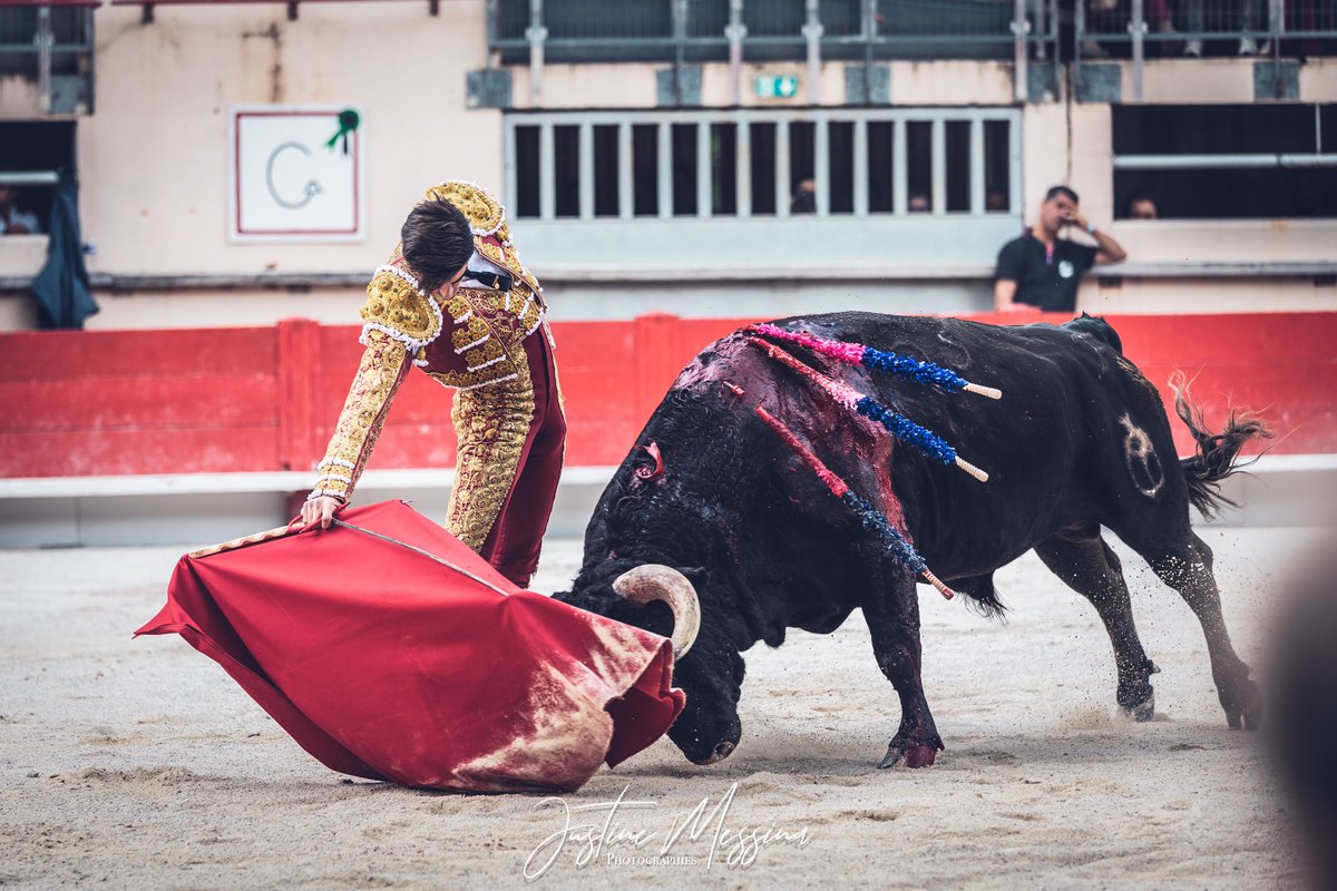 [ 🔴 EN DIRECT #SaintMartindeCrau 🇫🇷 ] 3️⃣ |Silence pour <a href="/PrensaMAPacheco/">Prensa Miguel Ángel Pacheco</a> , blessé par coup de corne au mollet regagnant l’infirmerie à l’issue du combat face au troisième toro des Héritiers de Hubert Yonnet.

📸 Tendido 11 / <a href="/Justine_Messina/">Justine Messina</a>