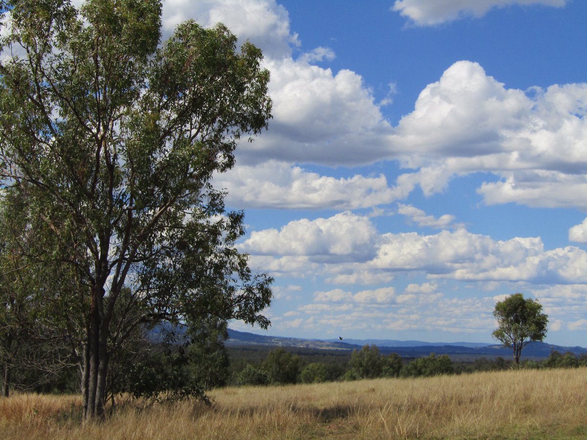 AimeeCollier93's tweet photo. Field trip out to #hiddenvale over the weekend π¦πΎ https://t.co/xXOGIUXbO3