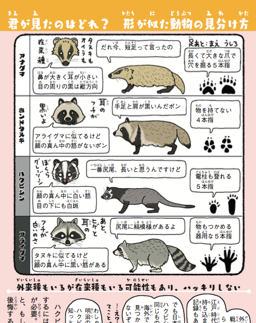 自己啓発本が悪いとは言わんけど、「本を読もう、人生を豊かにしよう」って紹介してる本が百冊中百冊その手の類ってのはさすがにどうも…ちなみに、📚拙著を読むと夜中に道端で見かけた動物が、🦝アライグマなのか、ハクビシンなのか、それともタヌキなのかがわかるようになります。#外来いきもの図鑑