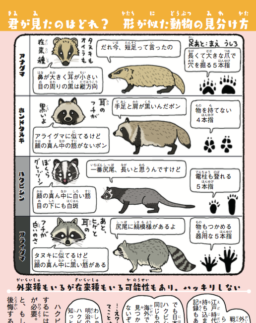 自己啓発本が悪いとは言わんけど、「本を読もう、人生を豊かにしよう」って紹介してる本が百冊中百冊その手の類ってのはさすがにどうも…ちなみに、📚拙著を読むと夜中に道端で見かけた動物が、🦝アライグマなのか、ハクビシンなのか、それともタヌキなのかがわかるようになります。#外来いきもの図鑑 