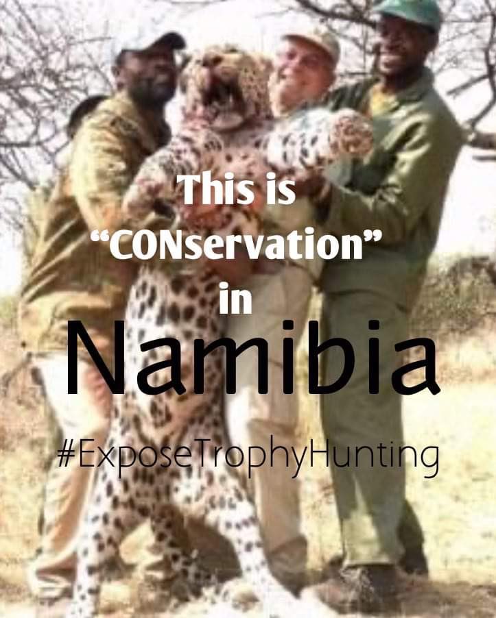 So not only is #Namibia held up as a FALSE success story for hunting is conservation, with @WWF providing the help to the hunting conservancies, that their earnings from TH is meant for. The #MEFT is selling 57 elephants to China (?) for the bargain price of £5,000. SHAME! 🙏🏼RT