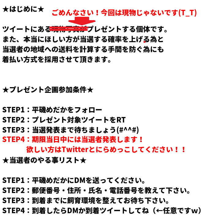 【プレゼント企画】
毎週恒例！当選者1名にお好きなメダカ20匹プレゼント！
参加条件はフォロー＆このツイートをRT！

↓現在プレゼント可能な種類
hiraisomedaka.com/present/

【期限10月7日20時】

↓めだか出品中↓
hiraiso.base.shop
auctions.yahoo.co.jp/seller/hiraiso…

#メダカ初心者
#メダカ