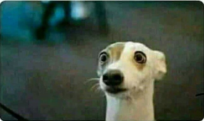 AfyaCentreCrew's tweet image. Ukitembelea Aunty yako Alafu uskie 
“Na huku pesa ijawai potea “