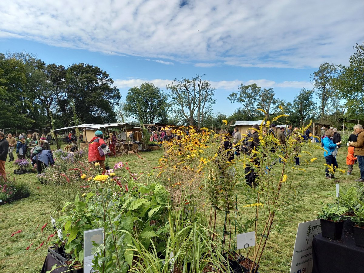 Better weather for <a href="/GreatDixter/">Great Dixter</a> plant fair today! Phew!