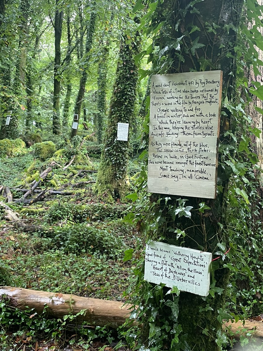 fergstack's tweet image. A walk in the woods and tales in the trees