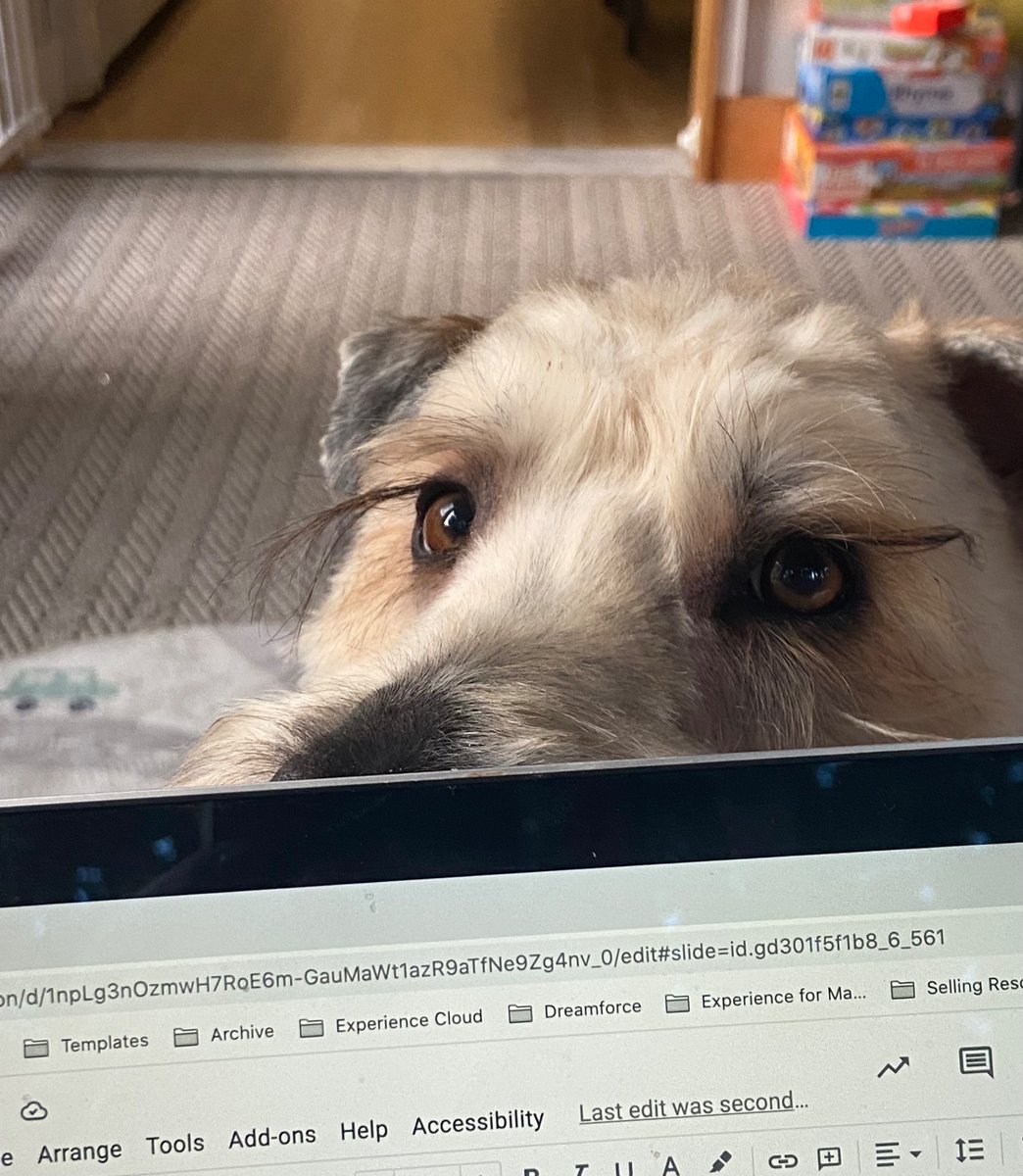 kategreenough's tweet photo. Me: gets up early for productive alone time before everyone wakes up 
Murray: https://t.co/UXOd6Su4vW