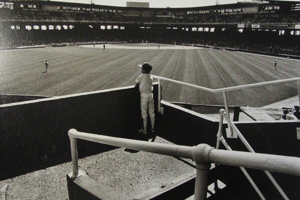MLBcathedrals's tweet photo. Every single one of us the first time we walked into a Major League ballpark. https://t.co/CHPoKc48J6