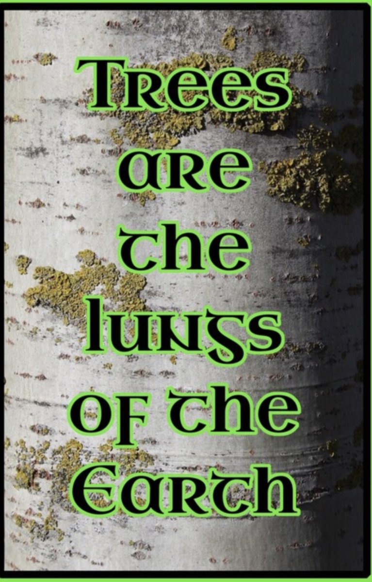 AmigoDodson's tweet photo. Please take note @lb_southwark @steviecryan you will suffocate southwark keep removing the lungs of the earth #savegreenspace #savetrees https://t.co/ZZ7HEfbmqI