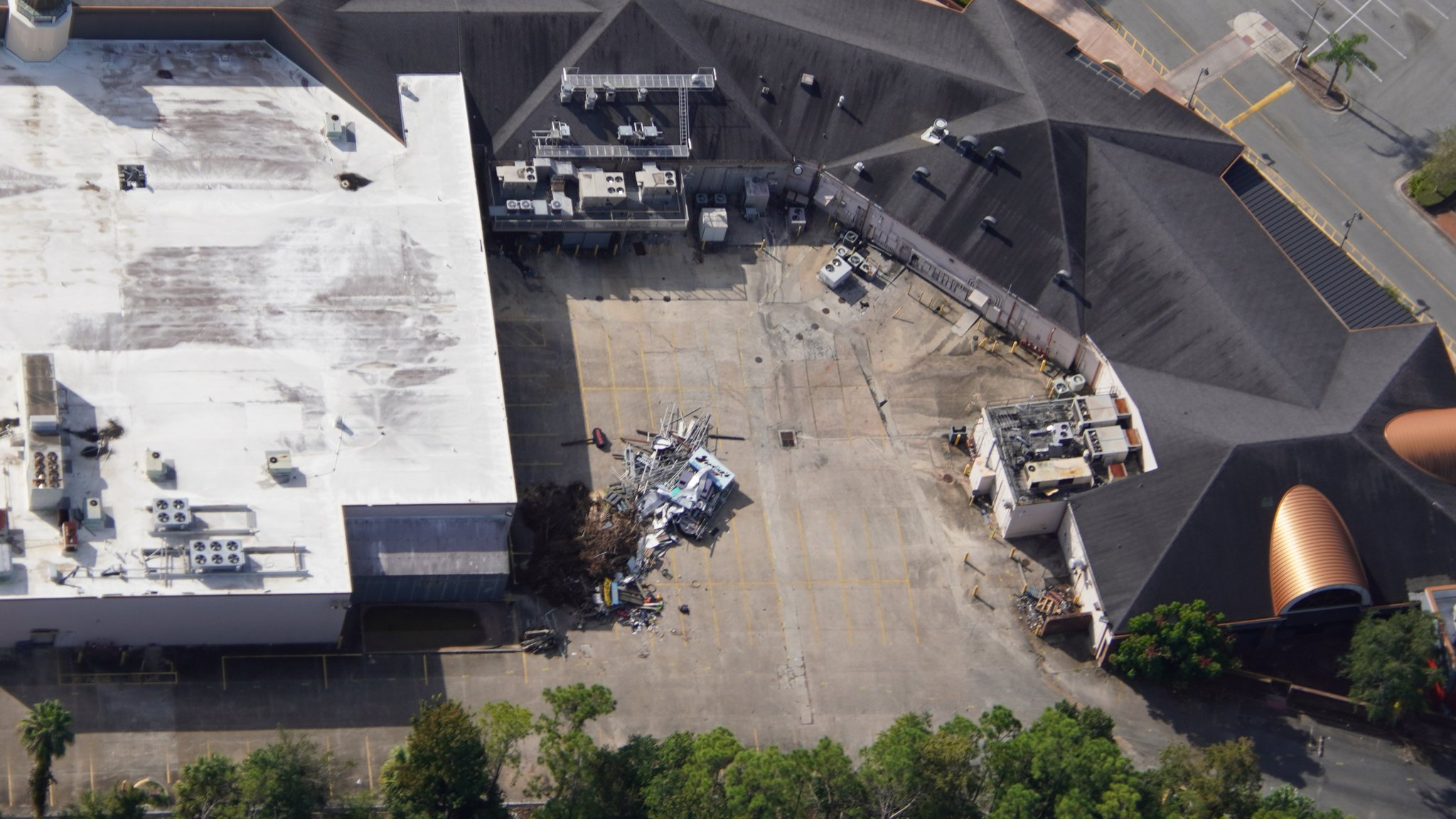 bioreconstruct on Twitter: 