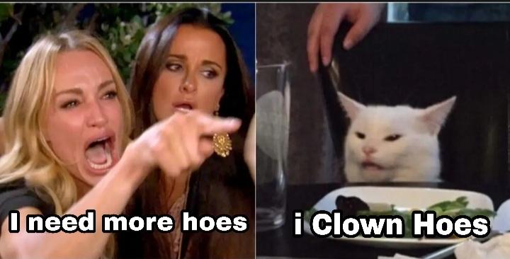 itsBiva's tweet image. 