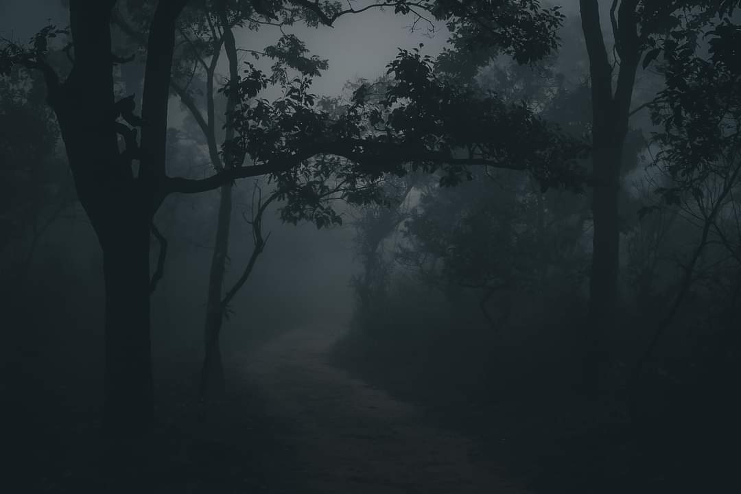 ꜰᴇᴇʟɪɴɢ🌄 tweet media
