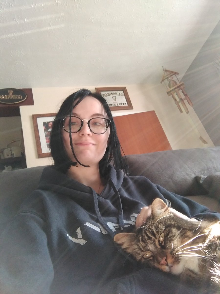 LecatSparky's tweet photo. Mum, you were only meant to feed the cousin cats, not cuddle them! #CatsOfTwitter https://t.co/jSb7w1csWy