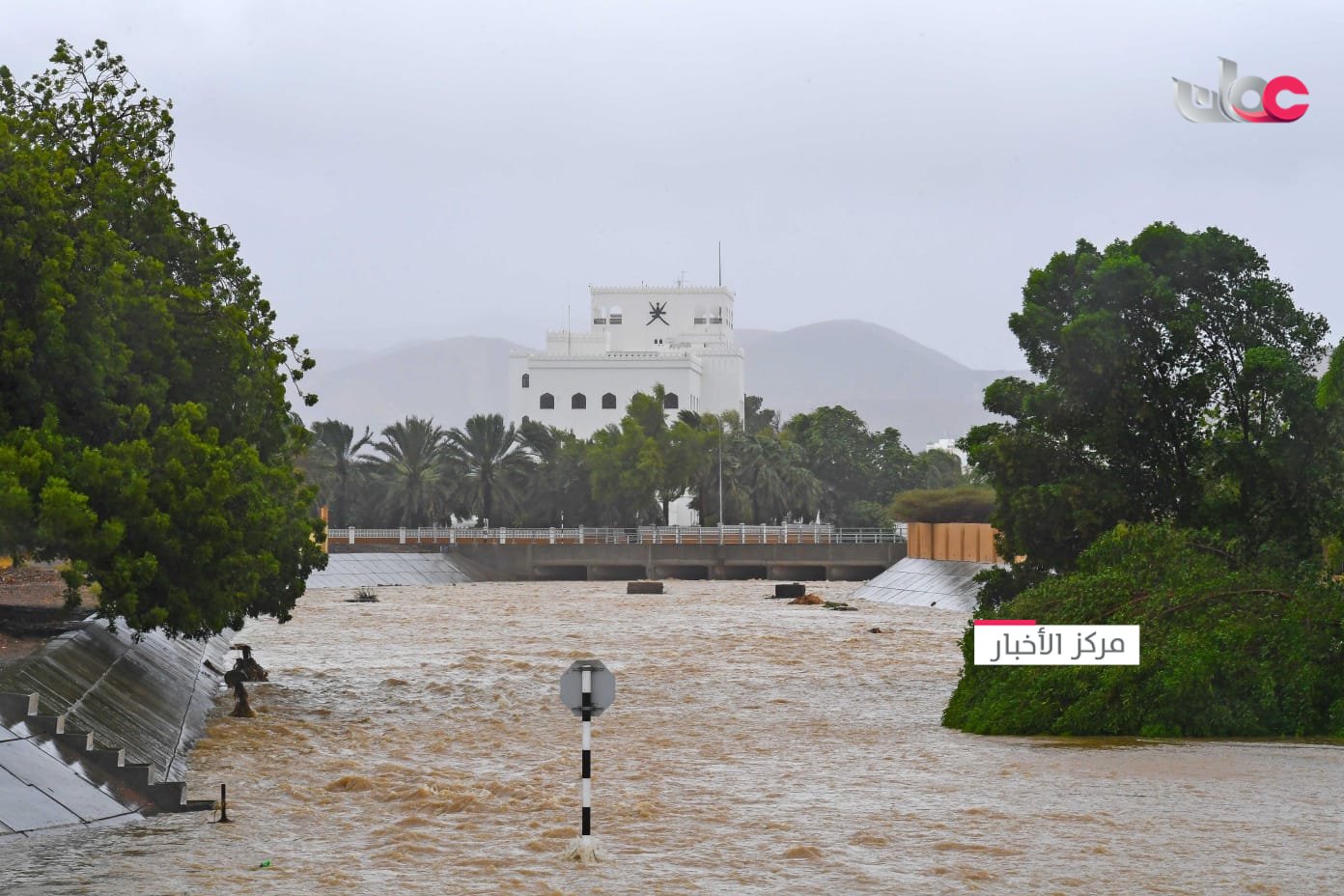 الصورة