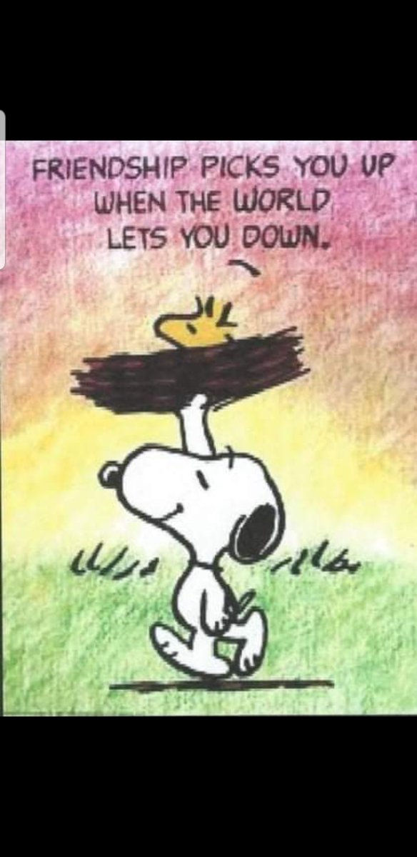 1NI_HM's tweet photo. 💛🌈Frienship is a precious thing and a good friend is worth more than all the money in the world. #SundaySunshine 
@NationalACSMI 
@ArmyCdtsINSPIRE 
@CFHealthyMinds 
@amhNI 
@cf_hmindsni 
@CFChiefMSO 
@CFiDEAadvisor 
@CFHMLD 
@HM_Glos_ACF 
@bn_west 
@hiowmso 
@Clint__Riley https://t.co/WGtPNxq6B3