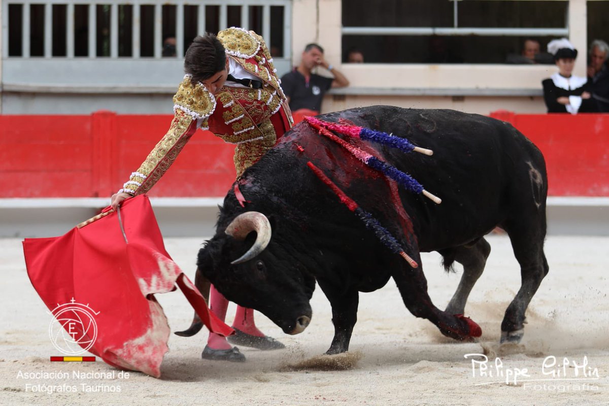 SAINT MARTIN DE CRAU || Silencio tras aviso para <a href="/MiguelngelPach6/">Miguel Ángel Pacheco</a> en el ecuador del festejo. Tras finalizar pasa por su propio pie a la enfermería por una cornada en la pantorrilla. 

📸 <a href="/PhilippeGilMir/">Pнιlιppe Gιl Mιr</a> <a href="/ANFT_ES/">As. Nac. Fotógrafos Taurinos</a>