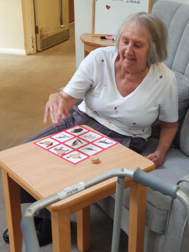 Eyes down for animal bingo #Bingo #Animal #HappyLiving #HeatherVale 🐷🦆🐮🐴