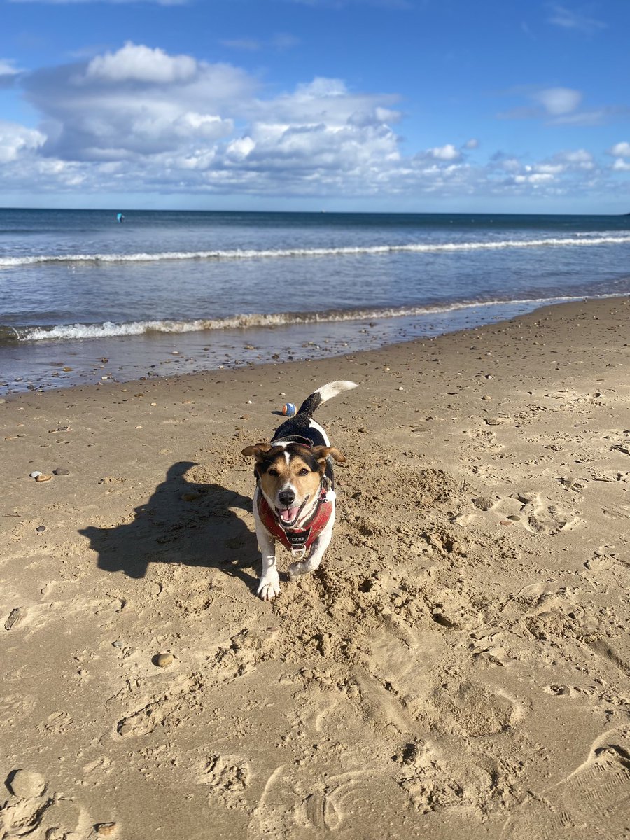 Sian Williams (@sian_9) on Twitter photo 