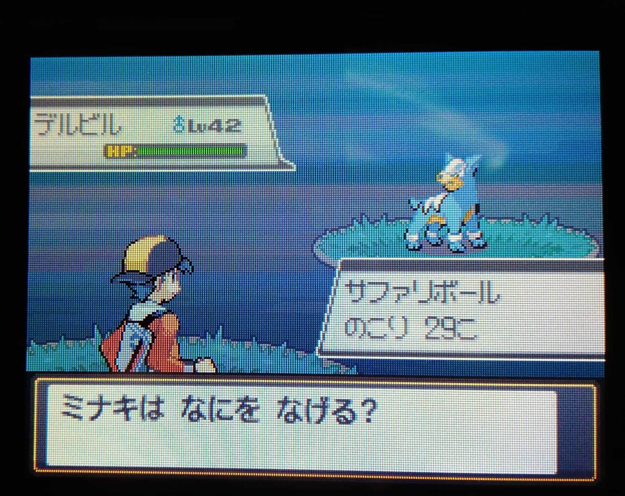 ミナキ Hgss版サファリデルビル2回目光りました 捕獲成功 4gen Shiny Houndour The Capture Was Successful T Co 8mlklflo1x Twitter