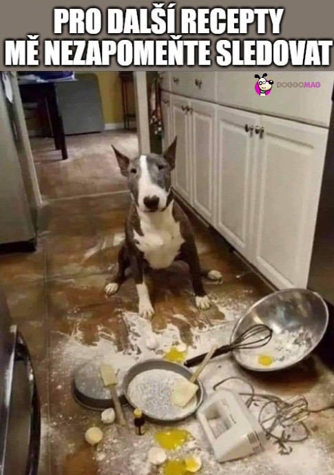 Jsou to inu takoví šikovní pomocníčci! 🤗😎 #doggomag #meme #psizivot #zivotsepsem