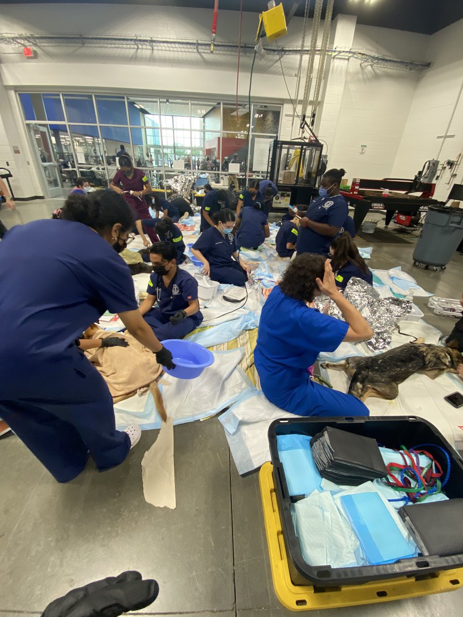 We are SO appreciative of our friends at The Empty Shelter Project. Our students got the opportunity to work HANDS ON in different areas from animal intake, to post-op &amp; recovery! The kids did amazing &amp; got the experience of a life time. Can’t wait to do it again! <a href="/Alief_CFAC_IT/">Alief Center for Advanced Careers IT</a>