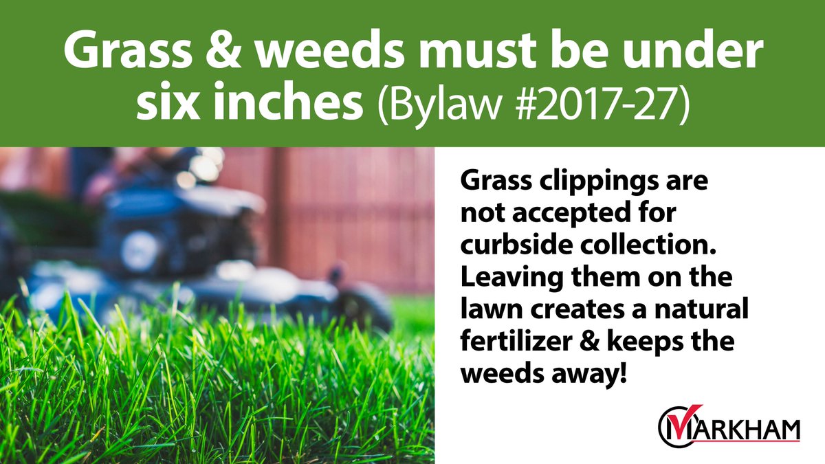 cityofmarkham's tweet photo. A friendly reminder to help us #KeepMarkhamBeautiful by cutting lawns & front & side boulevards if you have them. Put those grass clippings to work to help nourish your lawn!
Grass and weeds must be under six inches (Bylaw #2017-27).
Learn more: https://t.co/FcHpYW7HO3 https://t.co/f11FecYXf7