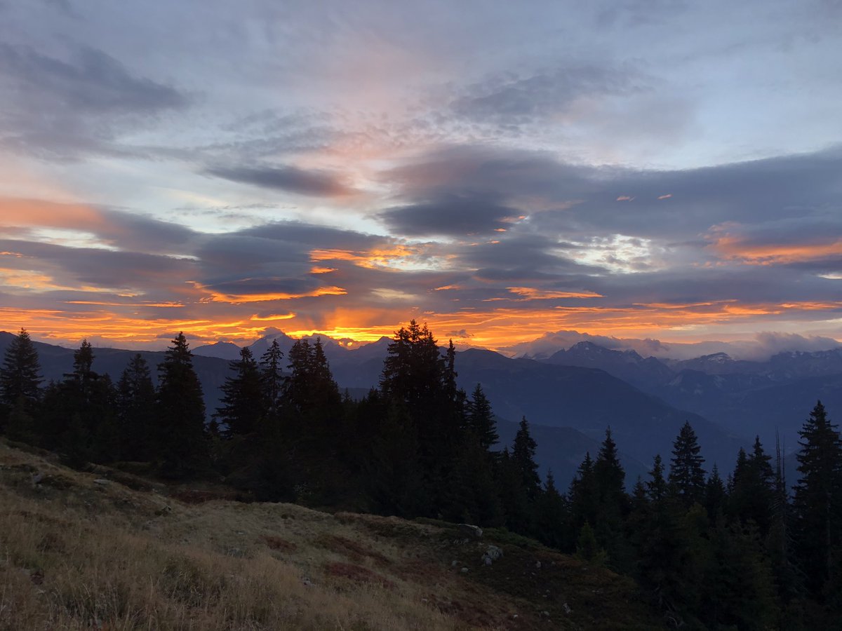 Manon Decorte tweet media