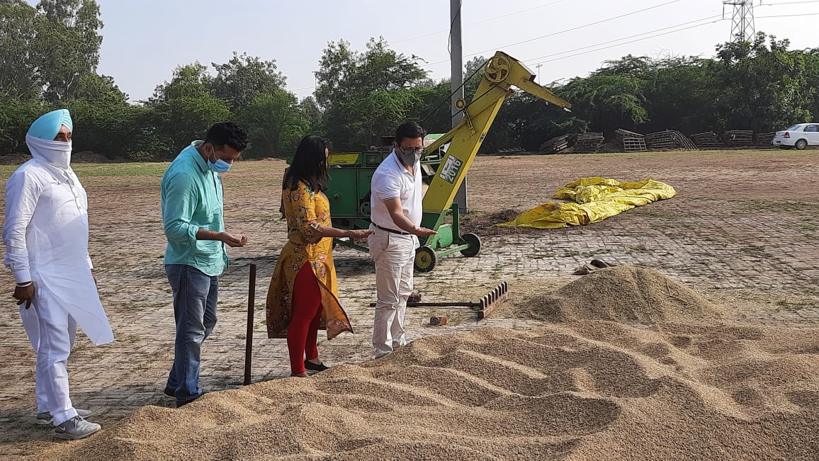 पंजाब, हरियाणा और उत्तर प्रदेश में इस वर्ष धान की पराली की मात्रा में काफी कमी होने की उम्मीद