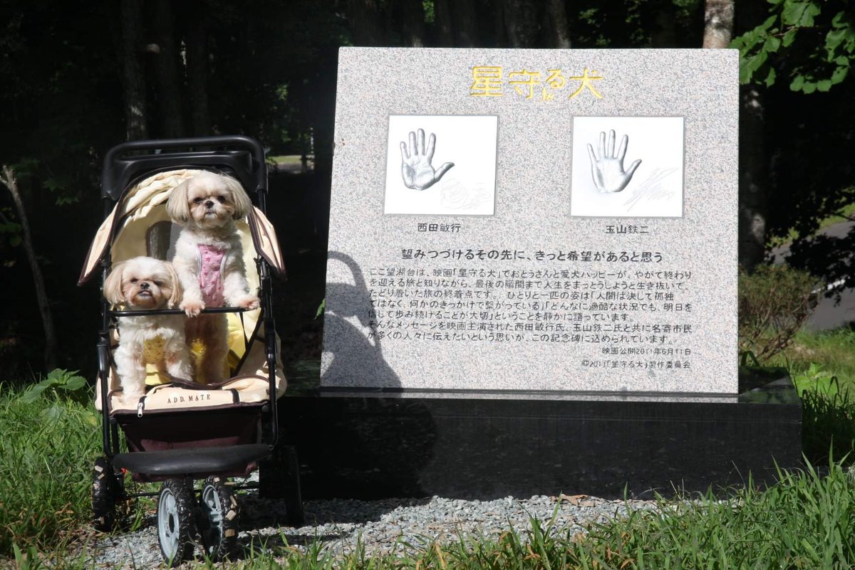 星守る犬 ロケ地 撮影秘話 最新情報まとめ みんなの評価 レビューが見れる ナウティスモーション