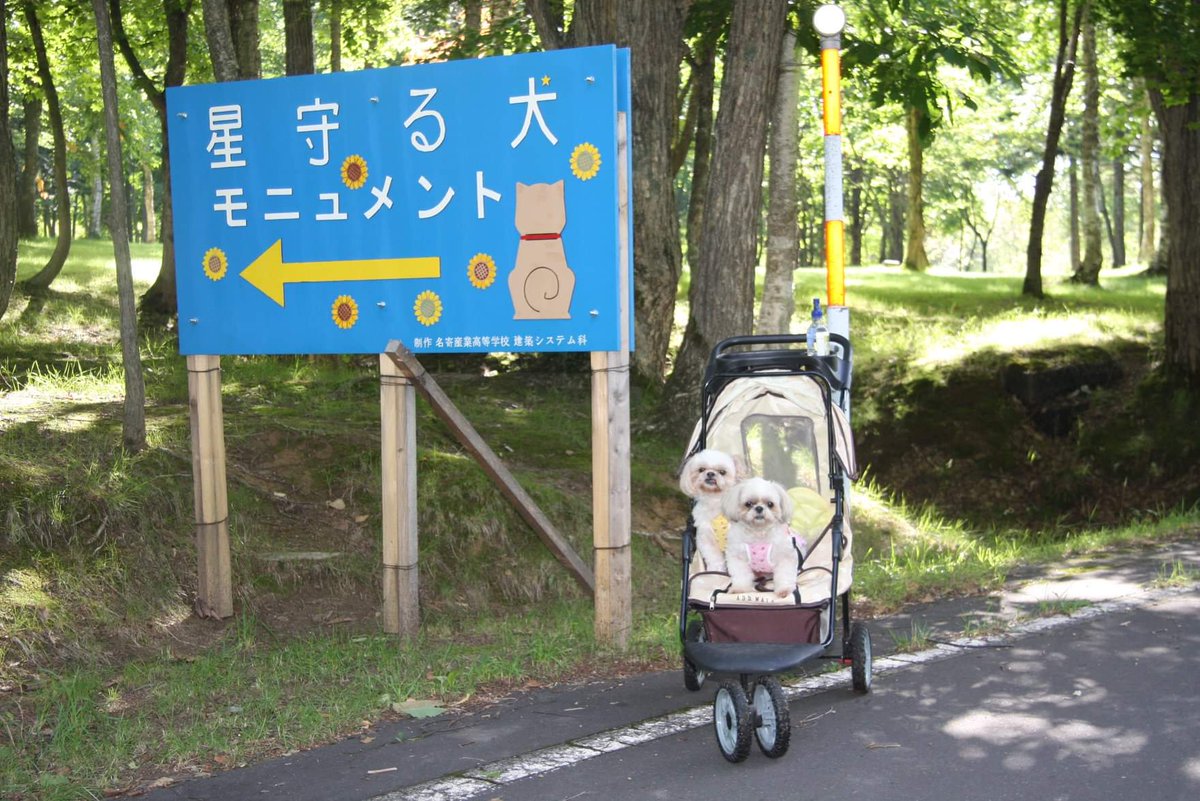 星守る犬 ロケ地 撮影秘話 最新情報まとめ みんなの評価 レビューが見れる ナウティスモーション