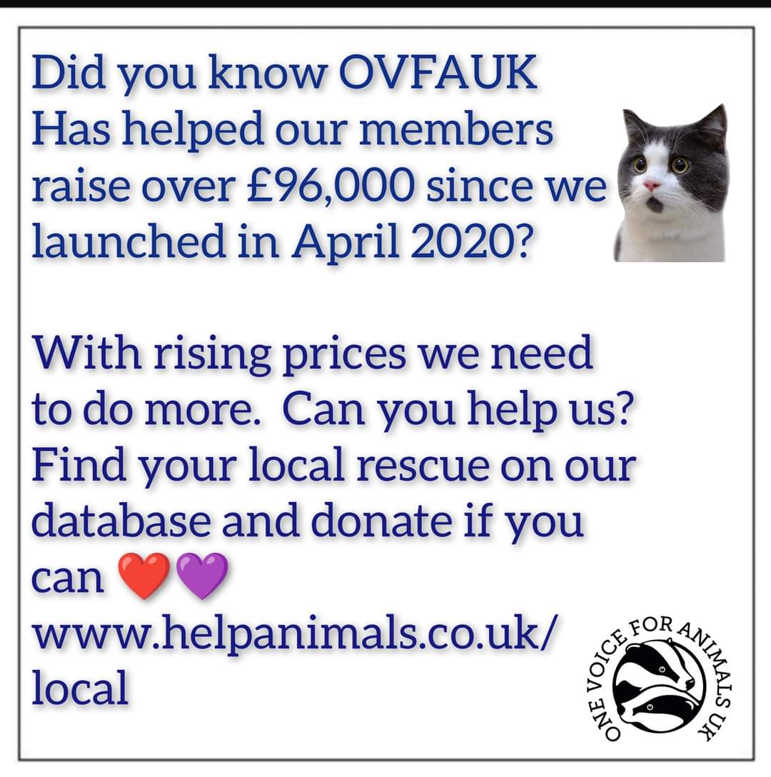 Wow - were so close to the £100,000 milestone now helping #animalrescues

We don't say this enough - THANK YOU!

#thankyou #charity #fundraising #animalwelfare #onevoiceforanimalsuk
