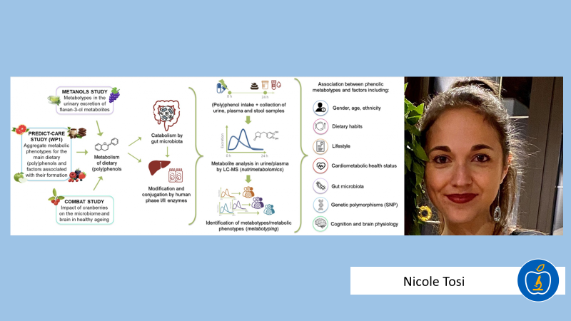 Let's #MeetThePhD

👩‍🎓Nicole Tosi
🔵Nutrition
📝#nutrimetabolomics #polyphenols

Nicole’s research deals with the exploration of interindividual variability in the metabolism of dietary (poly)phenols in order to identify metabotypes in the context of #PersonalisedNutrition